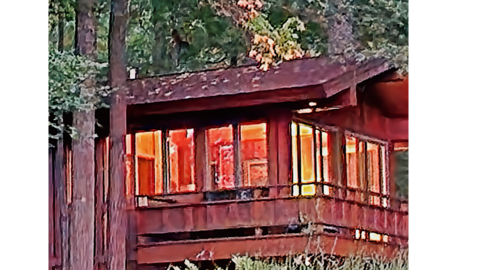 Waterfront Tree House I  Couples Retreat I Dogs OK