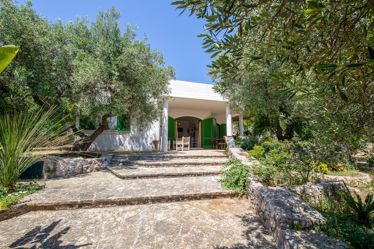 The entrance to the villa is framed by lush greenery, featuring stone steps leading to a covered patio. The building presents an inviting facade with green shutters and an archway, surrounded by vibrant plants that enhance the natural setting.