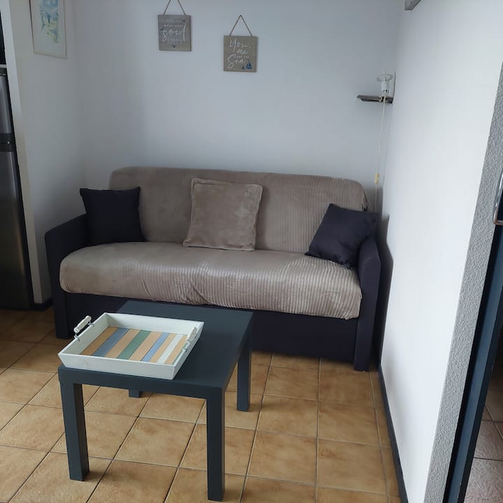 Appartement Quiberon Grande Plage à Pied 2/4 P - Quiberon