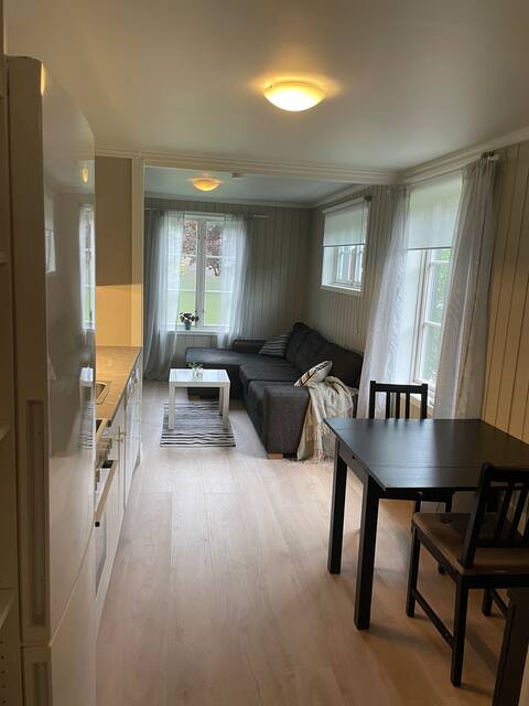 Cozy apartment on Vesterøy