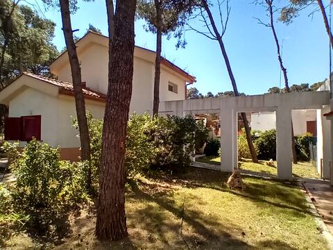 Villa pine forest 100m beach [pacific-apartments]