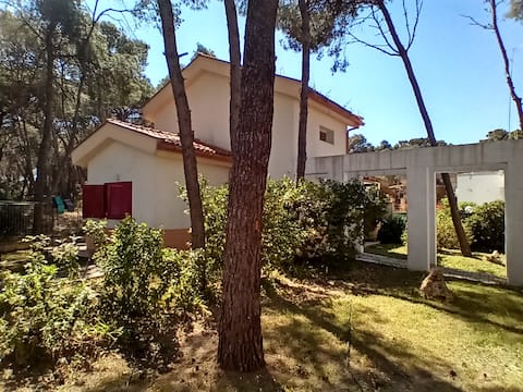 Villa pine forest 100m beach [pacific-apartments]