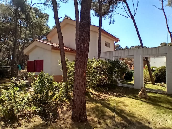 Villa pine forest 100m beach [pacific-apartments]