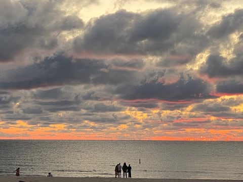 Serenity Suite - pawsitively great times await!