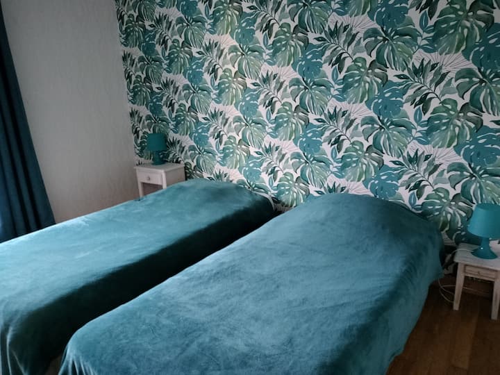 chambre avec 2 lits simples et un bureau 