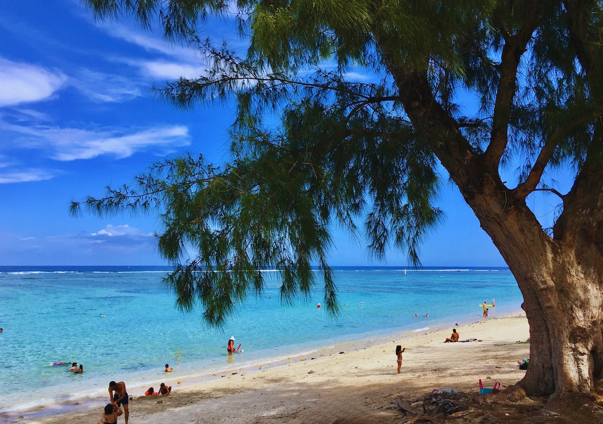 A serene beach scene features gentle waves lapping against the soft sand. Families are seen enjoying the water under a clear blue sky, with a large tree offering shade nearby. The tranquil lagoon showcases varying shades of turquoise and green, inviting relaxation and exploration.