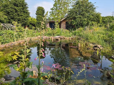 Popular Airbnb listing: Cabin retreat within a wildlife garden with pool in South Yorkshire