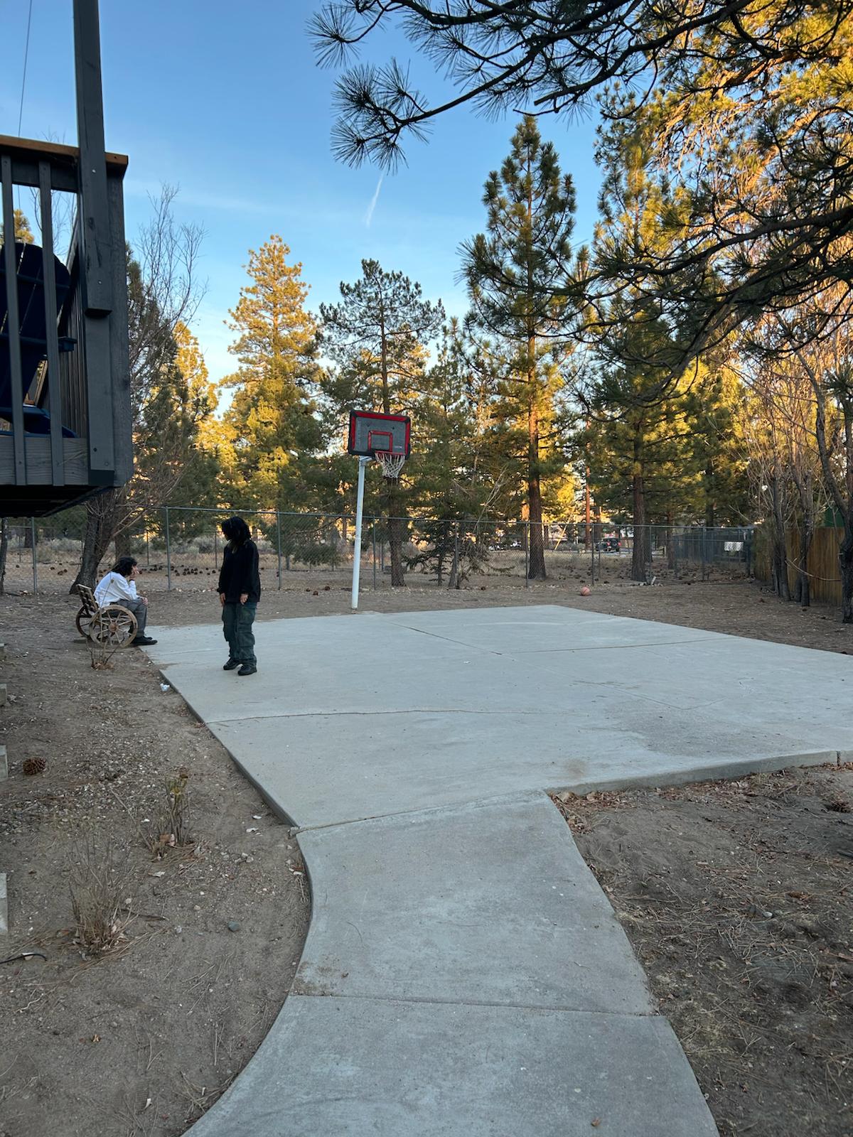 Bearadise basketball half court