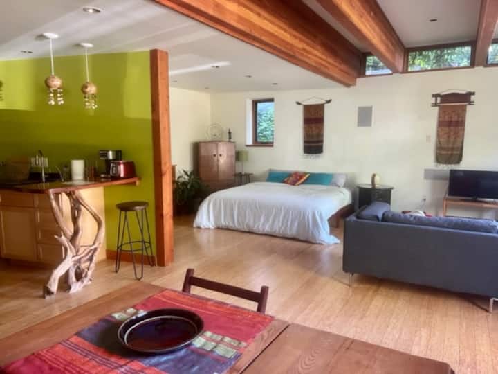 Spacious Luxury Spa Retreat King Bed + Sauna - Tacoma, WA