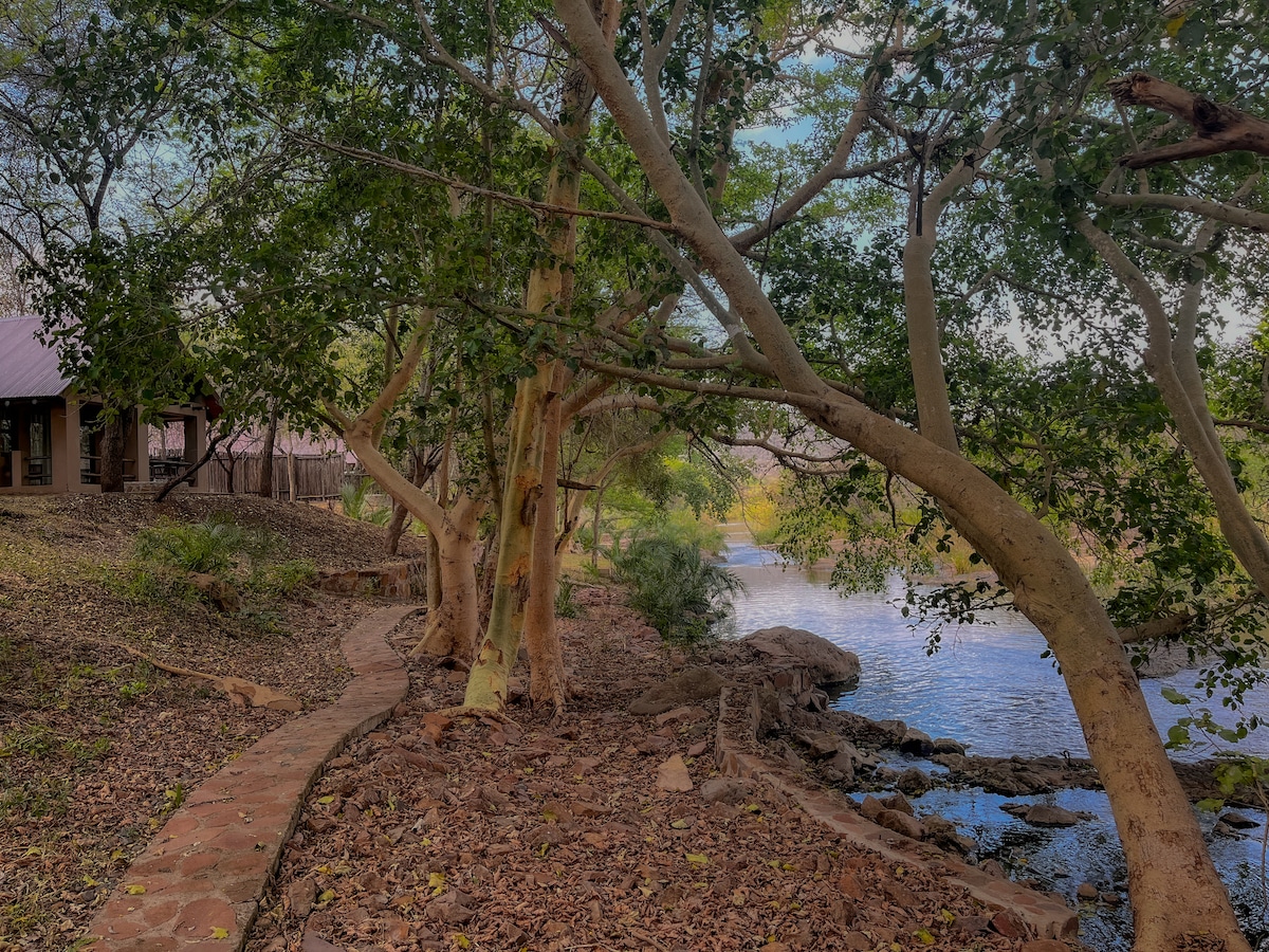 A winding pathway is fringed by trees leading to a serene river. The natural landscape features earthy tones with scattered leaves on the ground, and the gentle flow of water can be seen alongside the path, enhancing the peaceful surroundings.