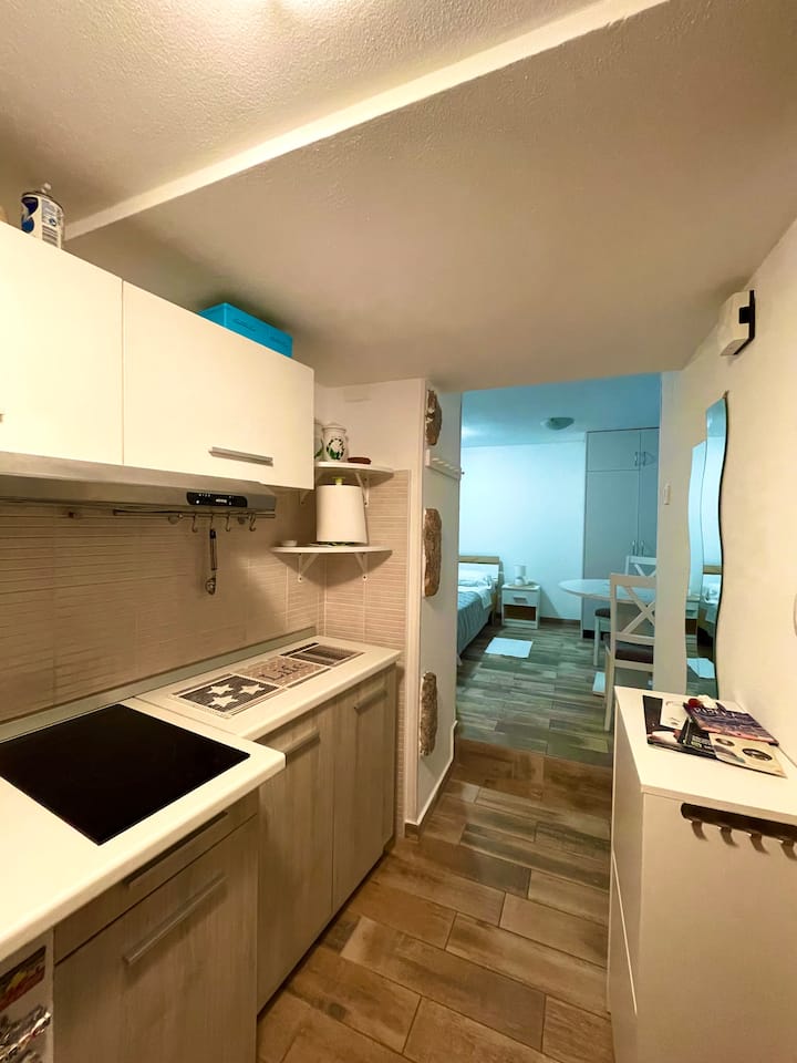 Studio Apartman Ricardo - Opatija