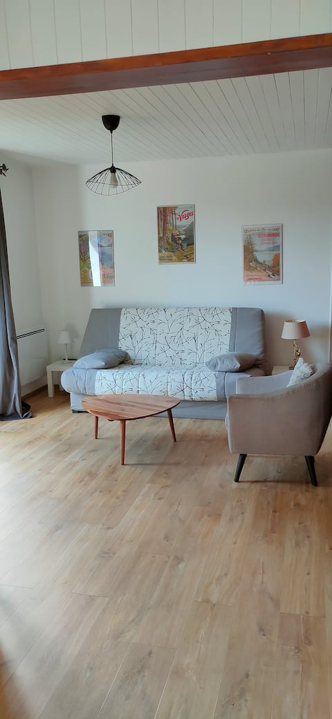 Propriété Airbnb réussie: Chalet T3 – quiet nature and views – near Gérardmer à Le Tholy