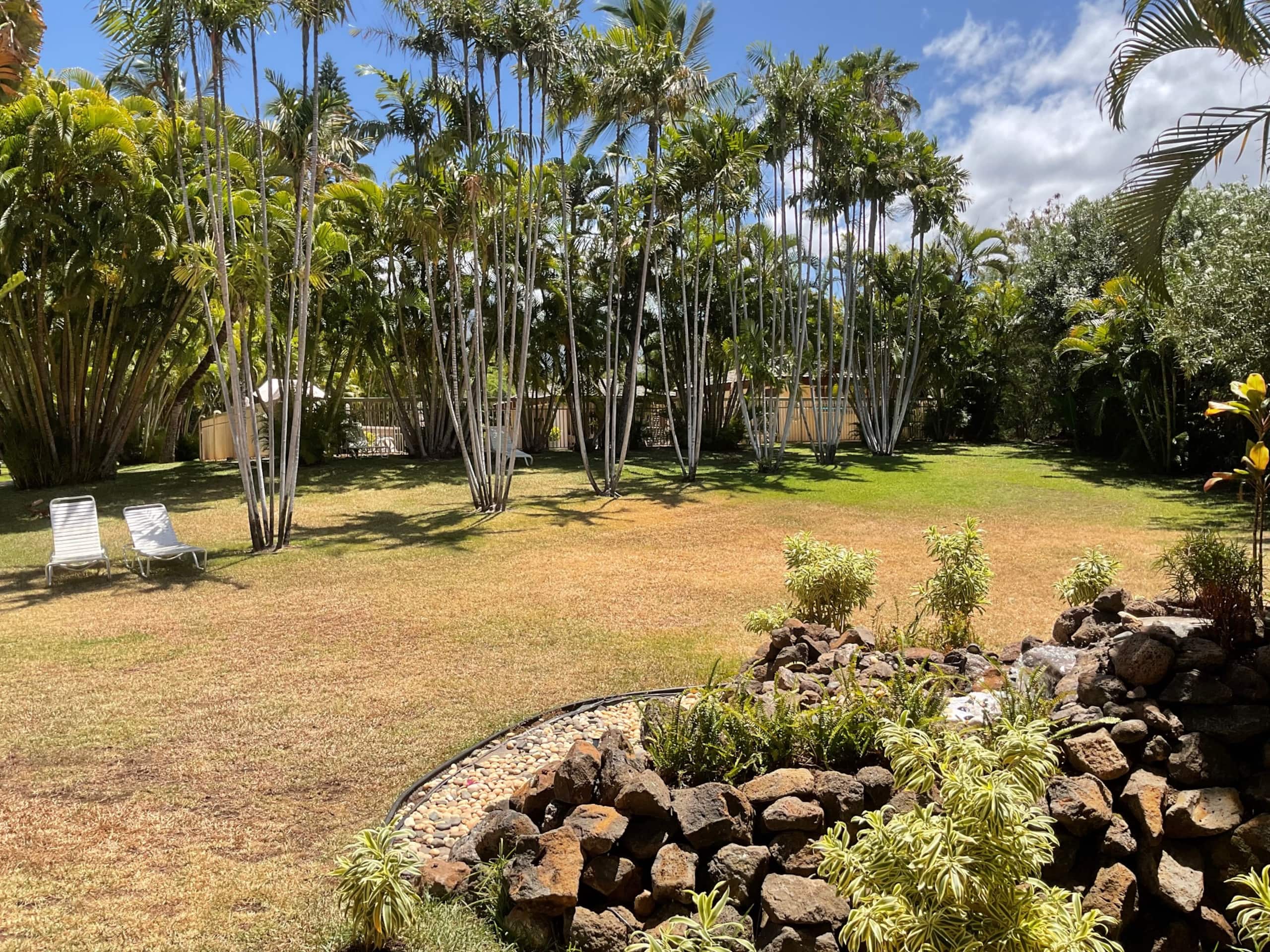 Spring Special / One Bedroom- Closest to beach! - Image 27