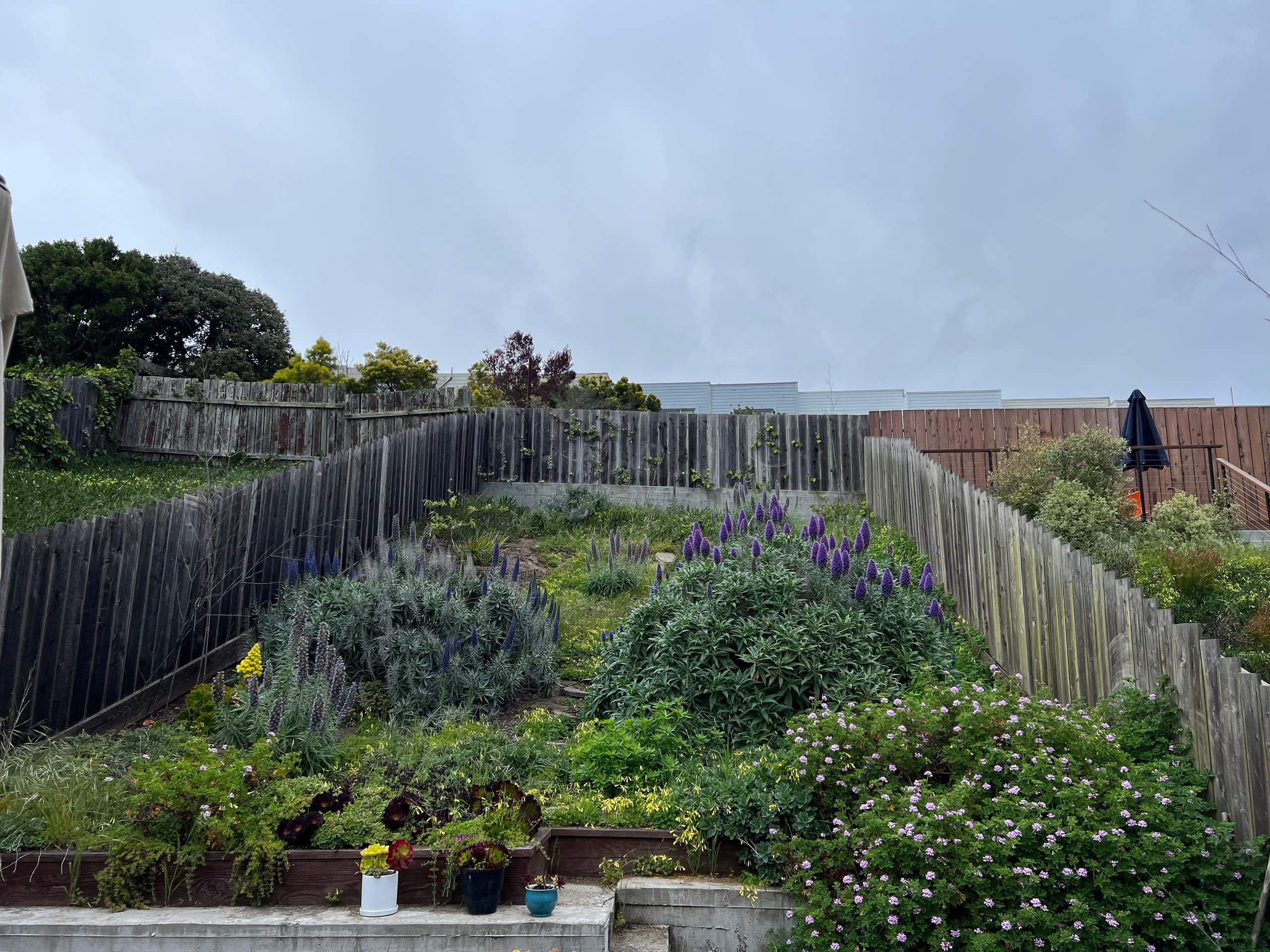 Home in San Francisco · ★4.94 · 3 bedrooms · 5 beds · 2 baths - Image 21