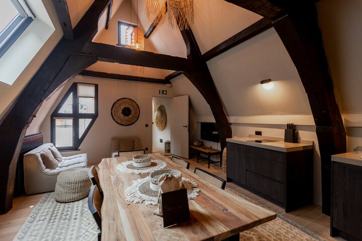 Luxury Barbera Appartamento in historic Antwerp gallery image 2