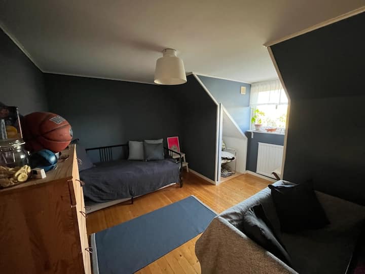 Habitación grande y acogedora con una cama que se puede sacar y abrir como una cama doble
