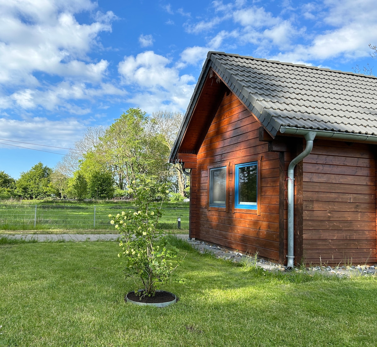 A charming wooden cabin is positioned amidst a green lawn, framed by landscaped trees in the background. A small flowering shrub is placed in front of the cabin, enhancing the natural surroundings under a partly cloudy blue sky.
