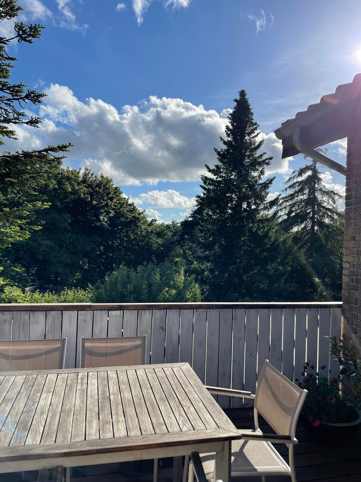 A wooden dining table with several chairs is positioned on a sunlit balcony. Lush green trees create a natural backdrop under a bright blue sky with scattered clouds. Sunlight filters through the leaves, enhancing the space's tranquil ambiance.