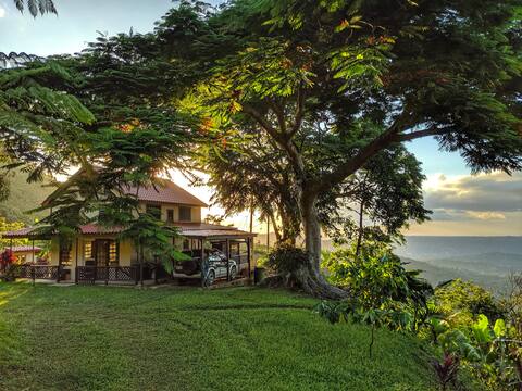 Epic Mountain Jungle Cottage Adventure