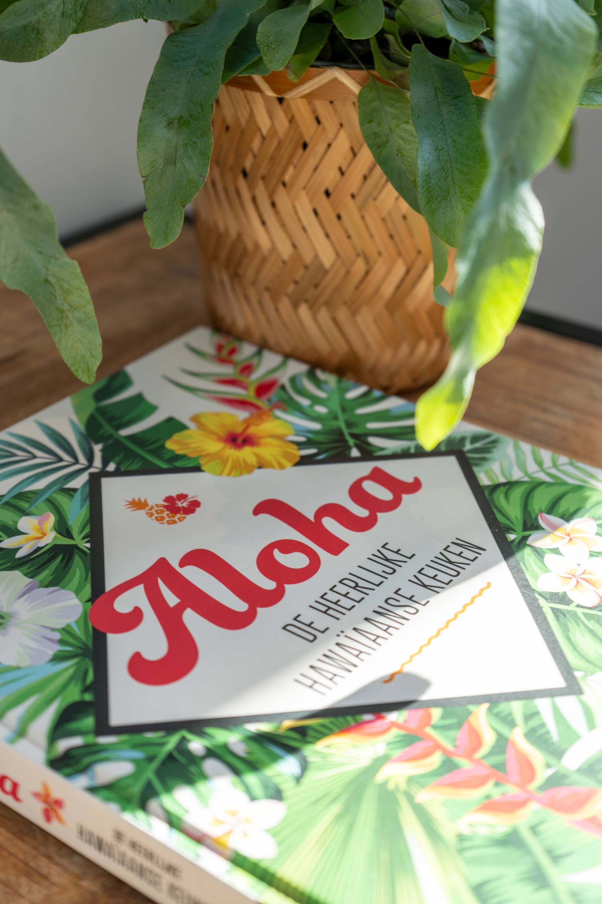 Nalu Sea Lodge — foto 4