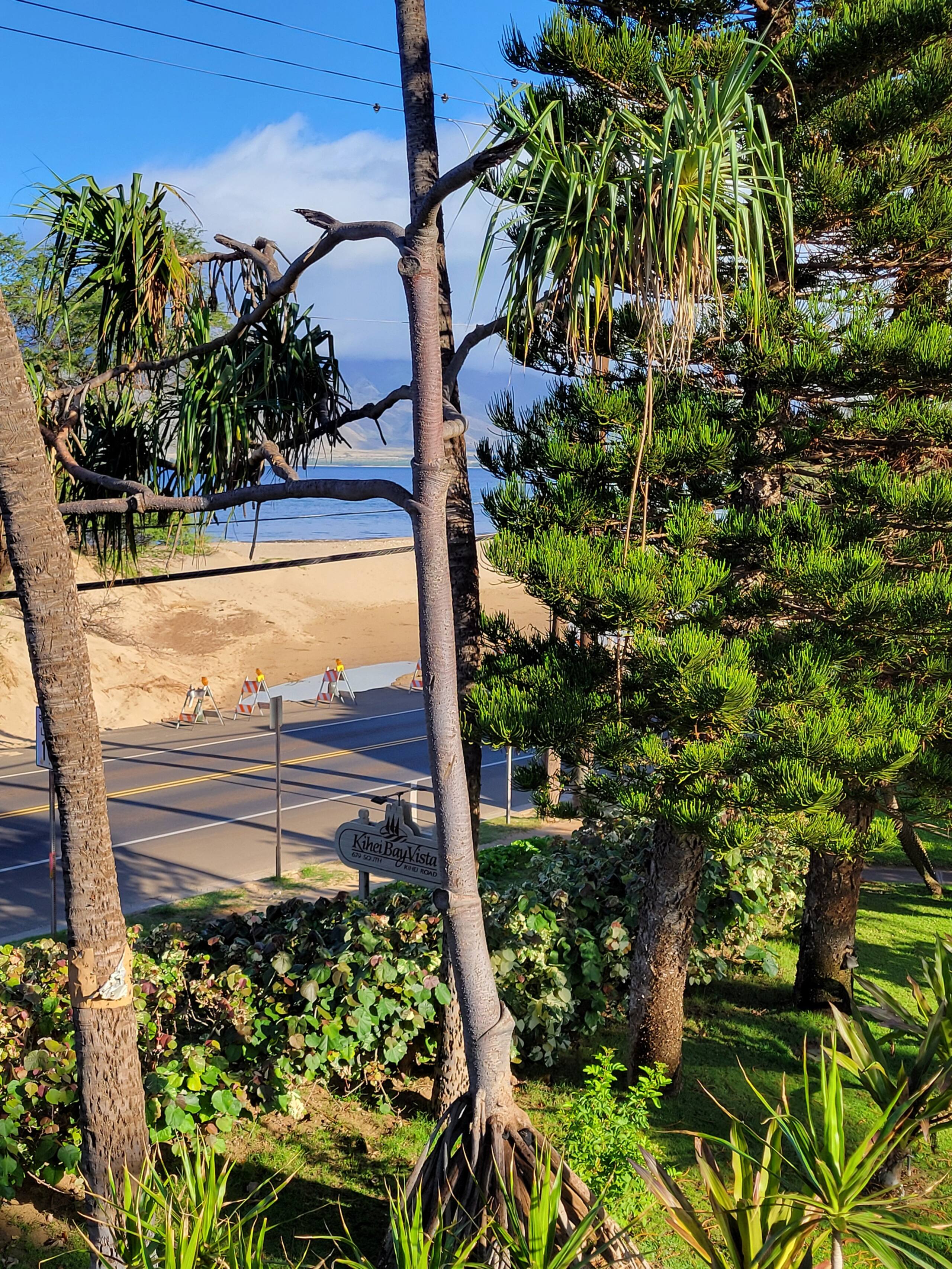Condo in Kihei · ★4.96 · 1 bedroom · 2 beds · 1 shared bath - Image 41