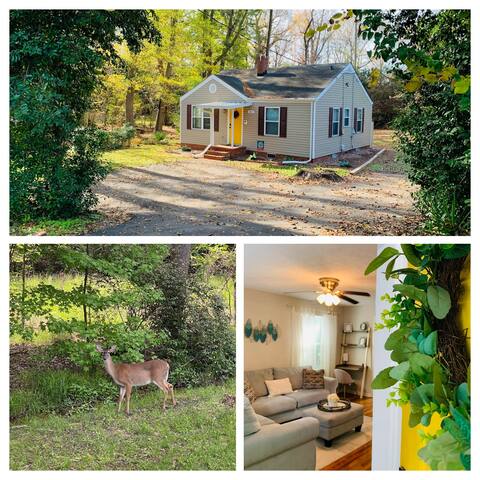 Cozy home close to the festival Arts in the Heart