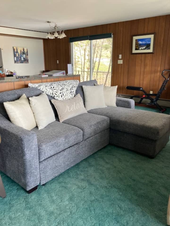 Sala de estar.  Este sofá se convierte en una cama extraíble.