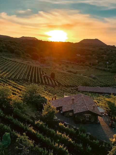 Chalet Mondifeso(Etna+vineyard+jacuzzi), Pedara