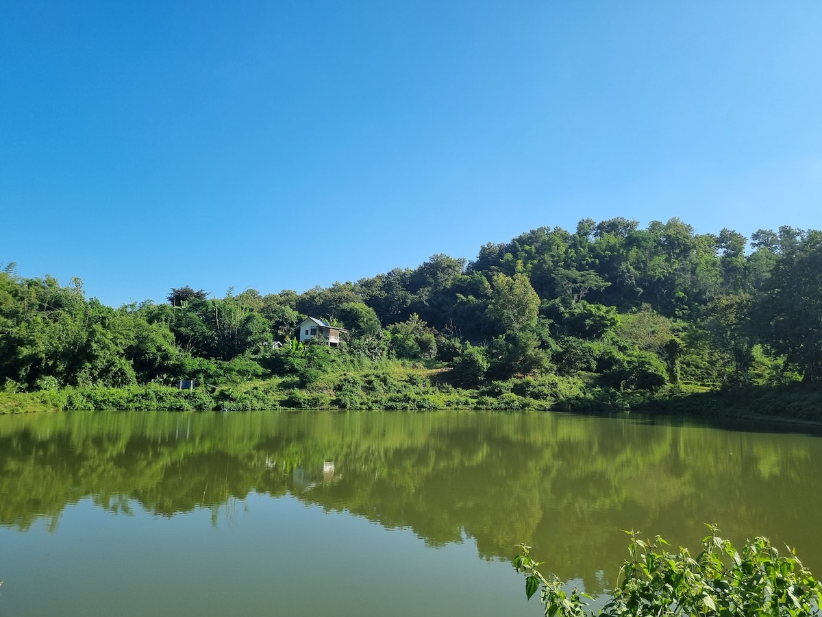 A serene view of a calm lake reflecting the surrounding greenery. Lush hills rise in the background, with a simple structure visible among the trees. The clear blue sky enhances the tranquil setting, creating a peaceful outdoor atmosphere.