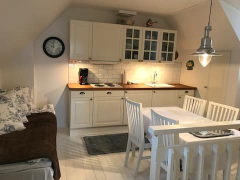 Successful Airbnb property: Own house with oceanview near city! in Nacka