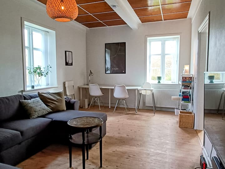 Hyggelig Og Moderniseret Gammel Skole - Med Plads. - Denmark