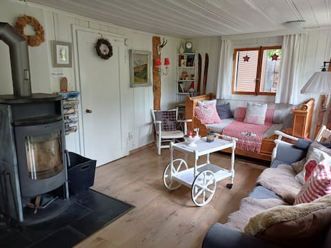 Popular Airbnb listing: Chic chalet with hot pot in Wildhaus
