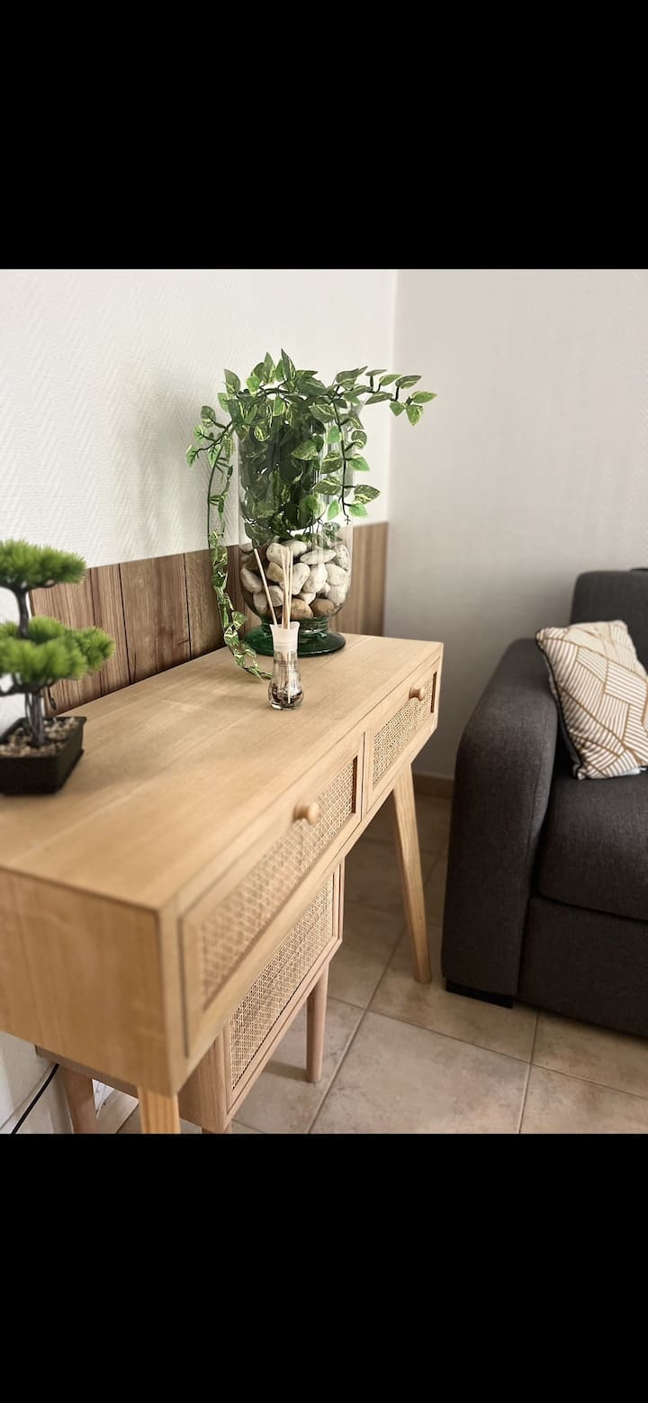 Cosy T1 30m² Avec Cour En Plein Cœur De Ville - Marmande