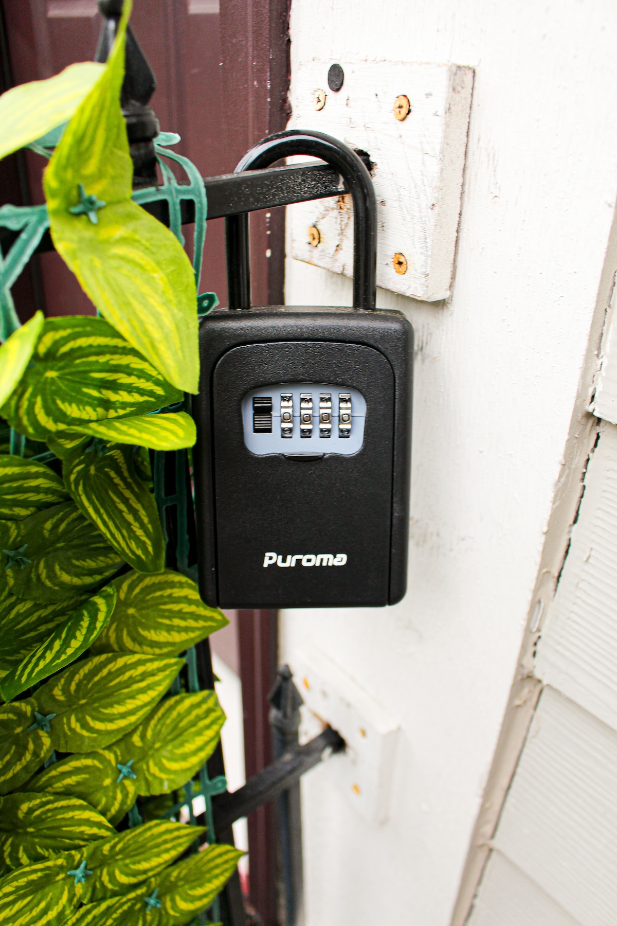 A secure combination lock box is mounted next to an entryway. It is surrounded by vibrant green foliage that adds a touch of color to the entrance. The lock box features buttons for entering a code to access keys.