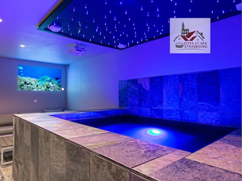 Villa Gorilla | Private SPA, Jacuzzi/Heated pool