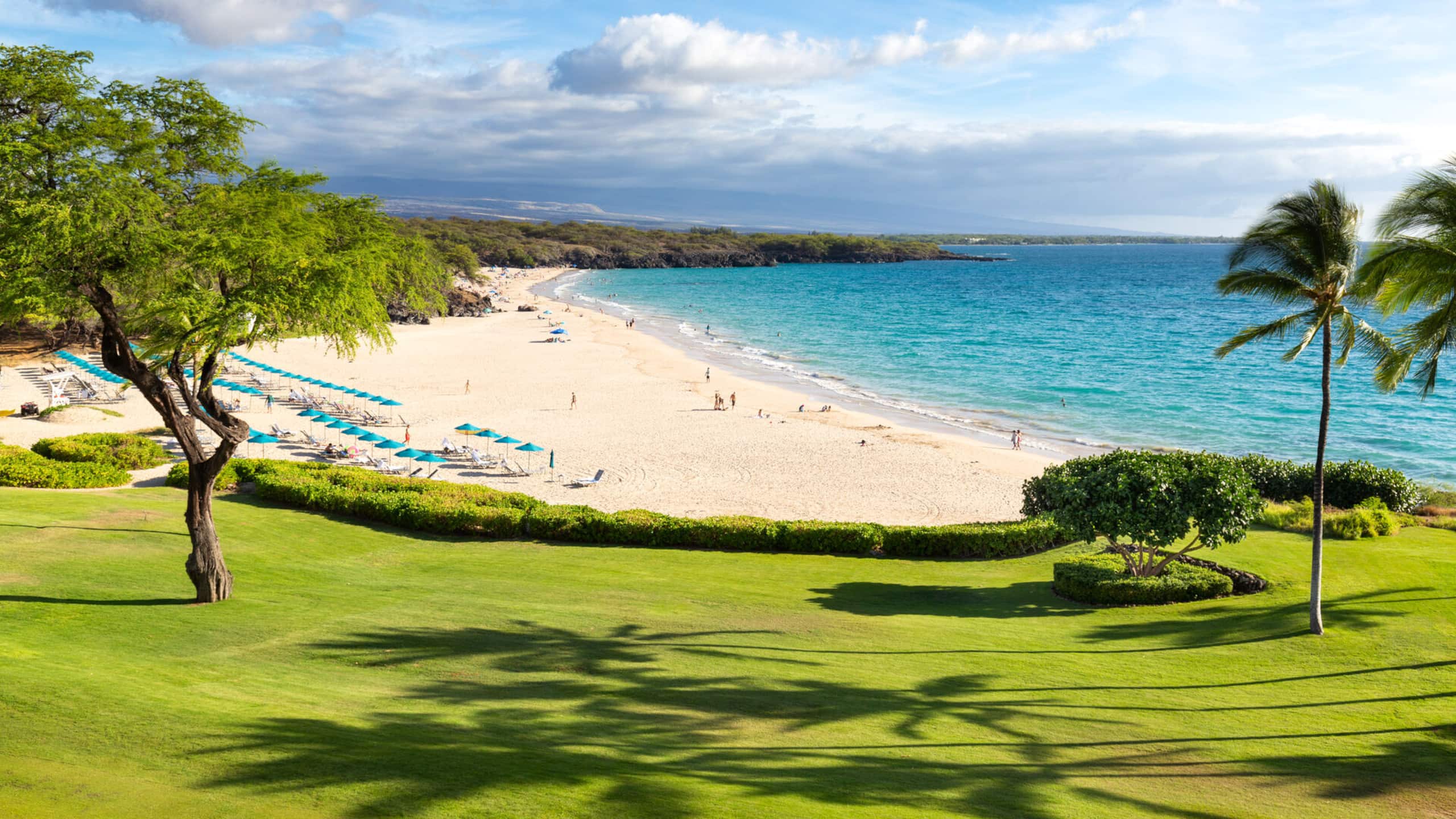 Condo in Waimea · ★4.93 · 2 bedrooms · 3 beds · 2 baths - Image 40