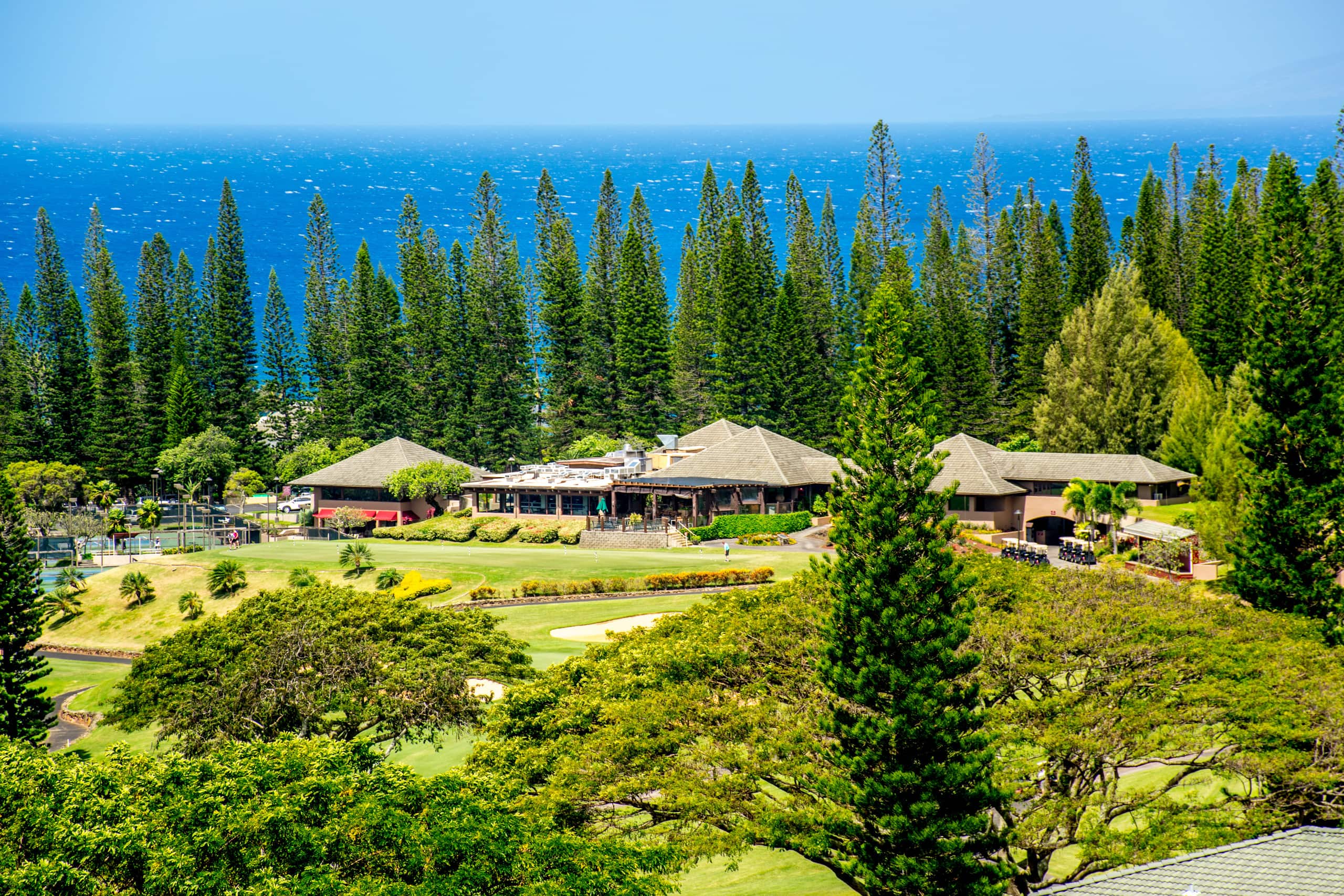 Kapalua Bay Villas 19G2 Gold Oceanfront 2BD/3BA - Image 46