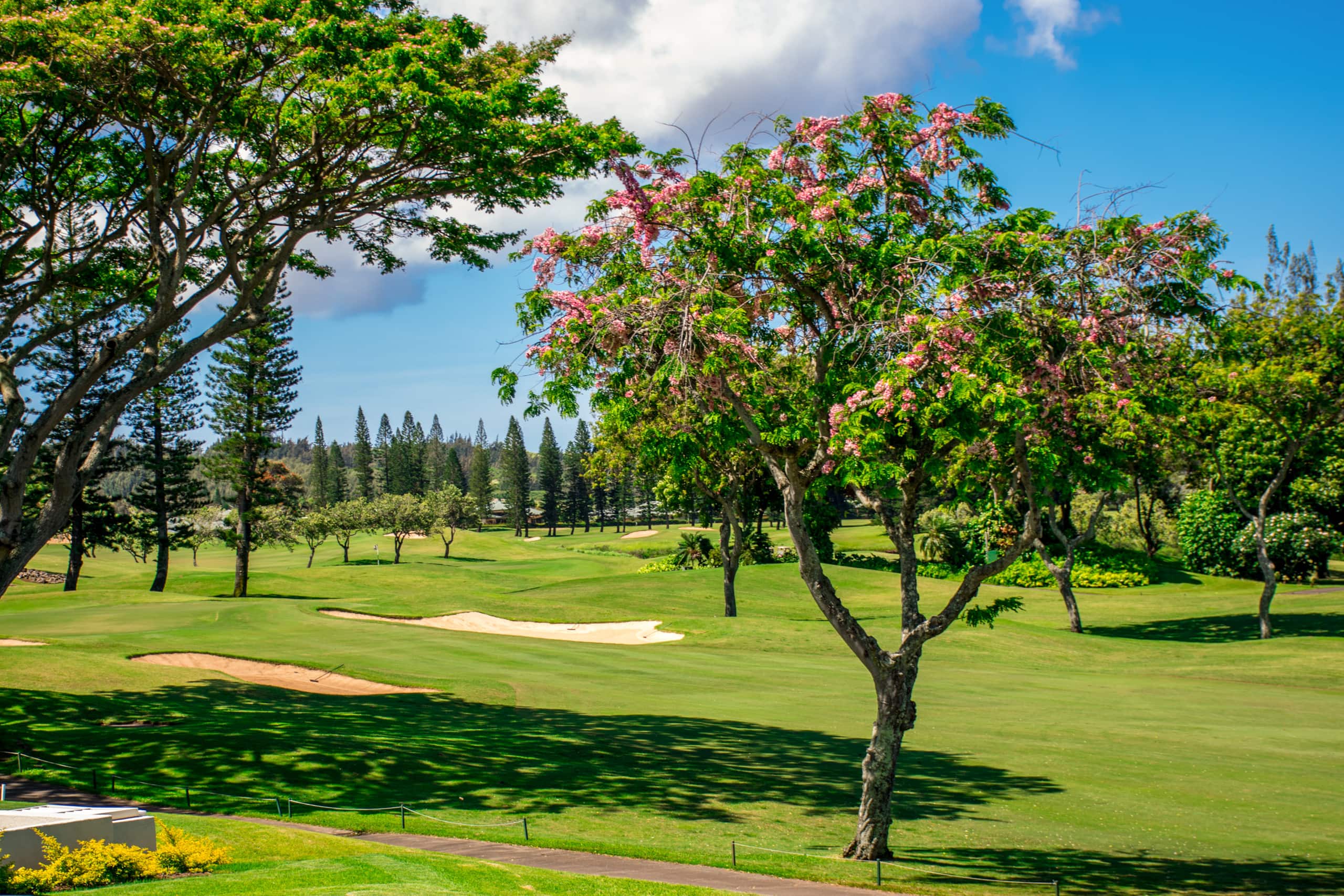 Kapalua Bay Villas 19G2 Gold Oceanfront 2BD/3BA - Image 41