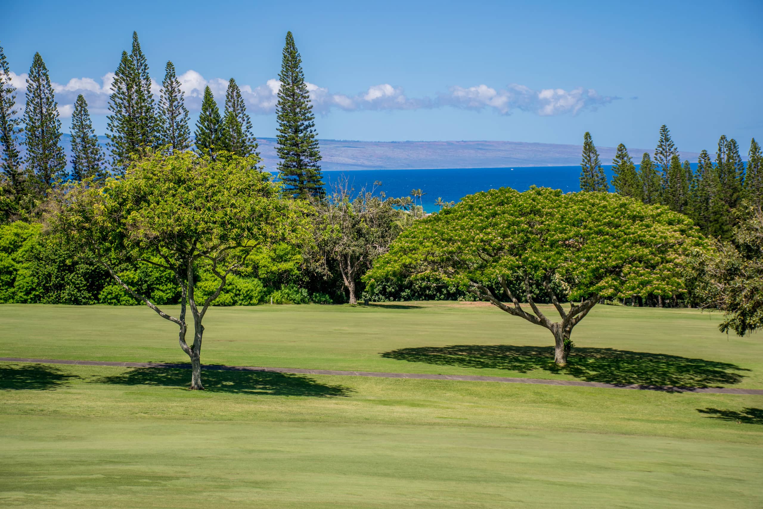 Kapalua Bay Villas 19G2 Gold Oceanfront 2BD/3BA - Image 45