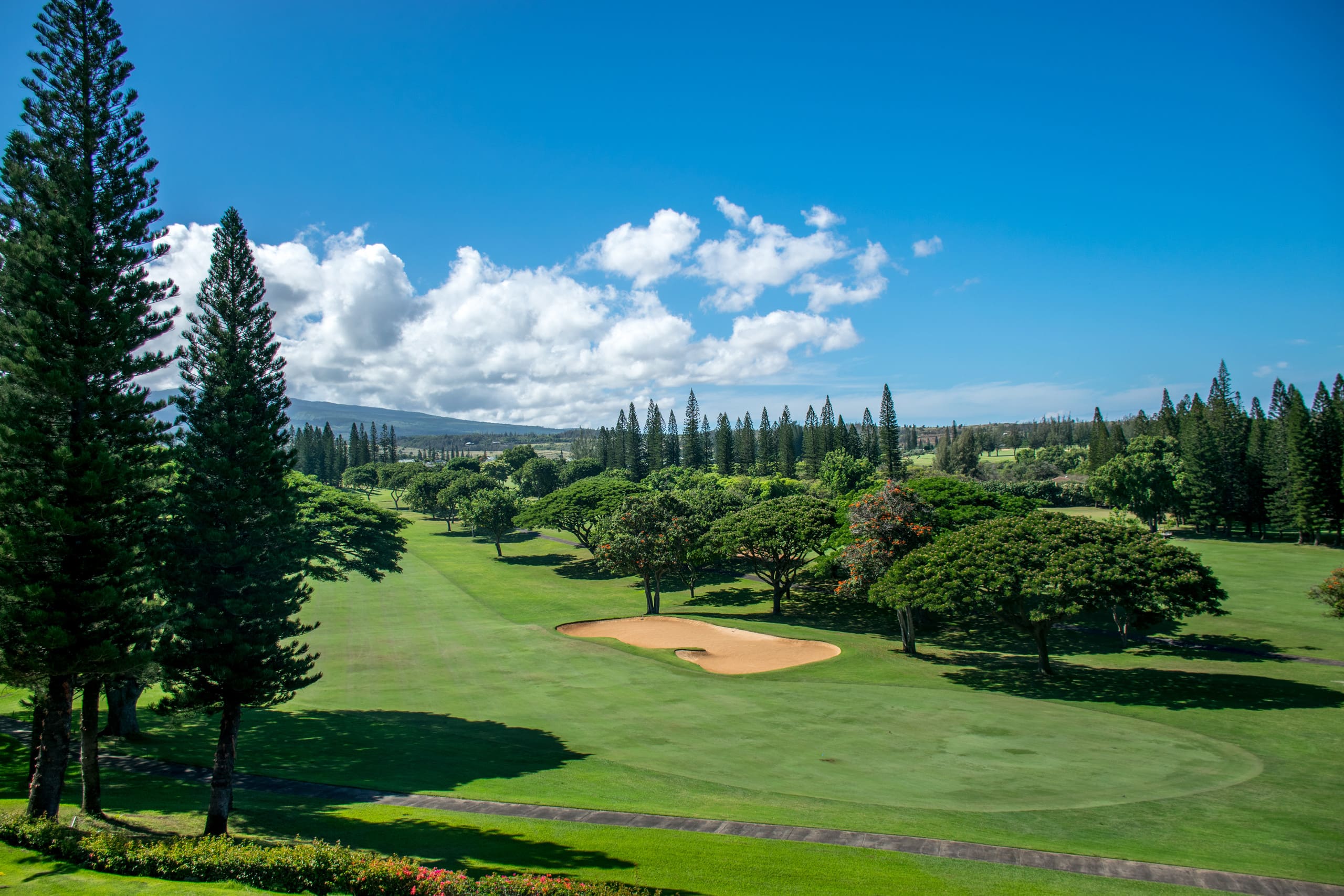 Kapalua Bay Villas 19G2 Gold Oceanfront 2BD/3BA - Image 40