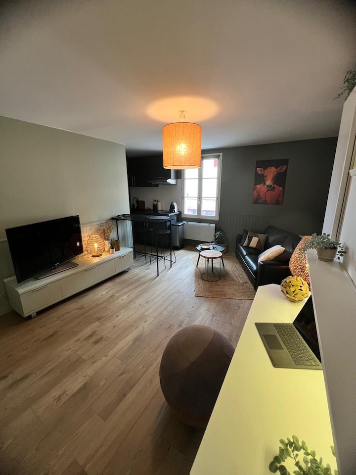 Studio Au Pied Du Vieux Mans - Le Mans