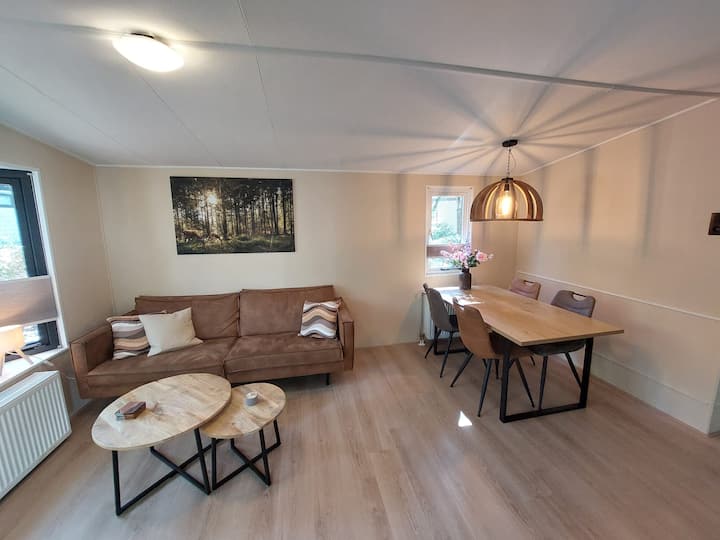 Chalet In Hattemerbroek 'Boshuisje Dennenrust' - Zwolle