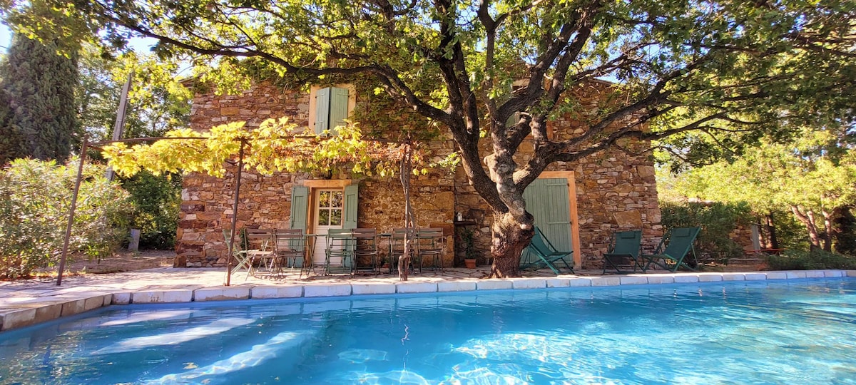 The image showcases a stone building surrounded by lush greenery, with large windows framed in soft blue. A swimming pool is in the foreground, reflecting the sky, while shaded seating areas under a large tree create a serene outdoor space.