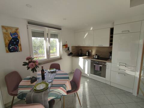 Newly renovated suite with free parking