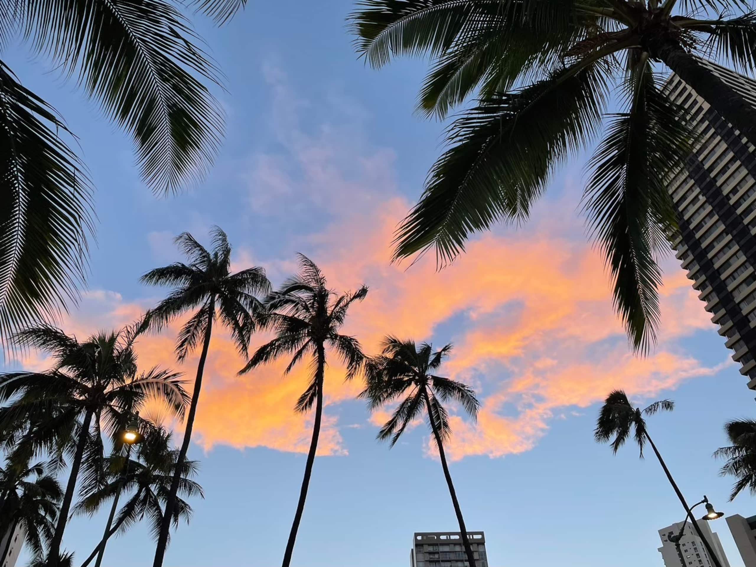 Condo in Honolulu · ★4.72 · 1 bedroom · 2 beds · 1 private bath - Image 37