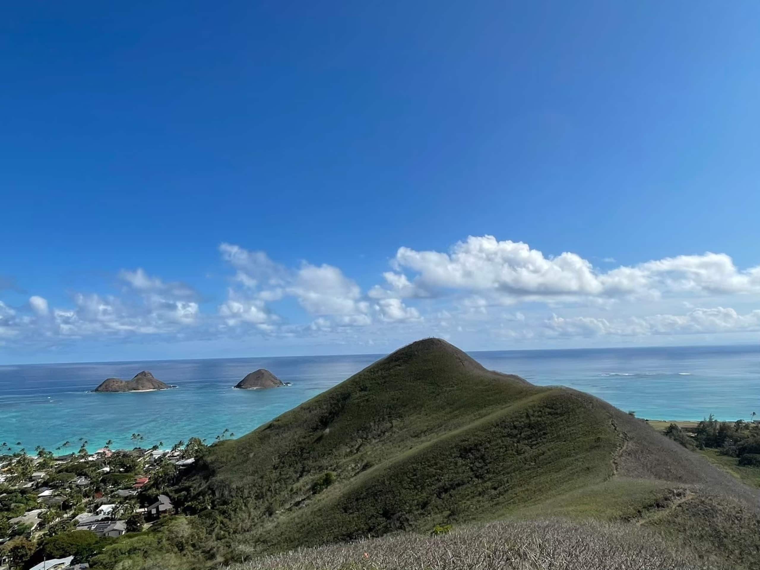 Condo in Honolulu · ★4.72 · 1 bedroom · 2 beds · 1 private bath - Image 32