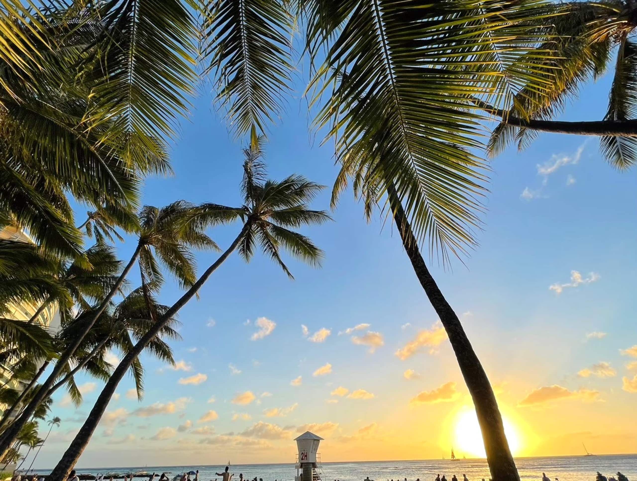 Condo in Honolulu · ★4.5 · 1 bedroom · 2 beds · 1 private bath - Image 33