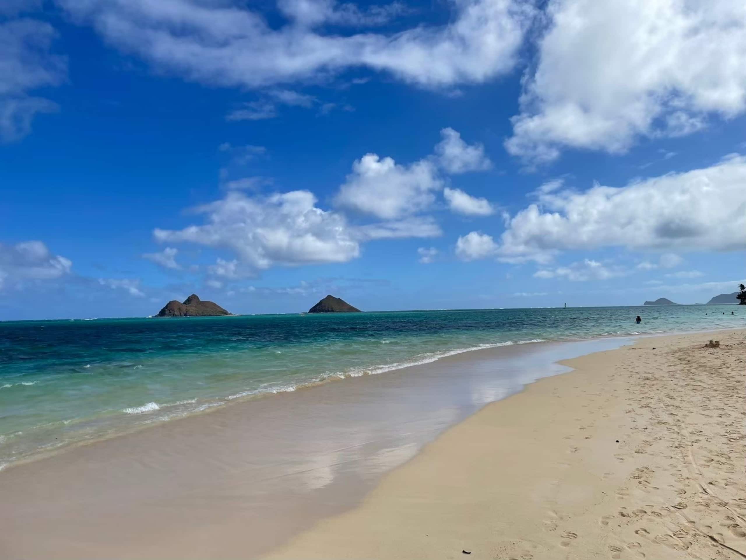 Condo in Honolulu · ★4.5 · 1 bedroom · 2 beds · 1 private bath - Image 29