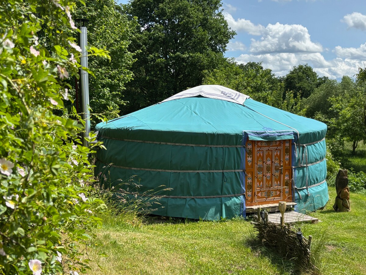 A circular yurt with a turquoise cover is nestled among greenery. The wooden door displays intricate designs, adding character. Surrounding tall trees and shrubs enhance the natural setting, creating an inviting atmosphere for relaxation.