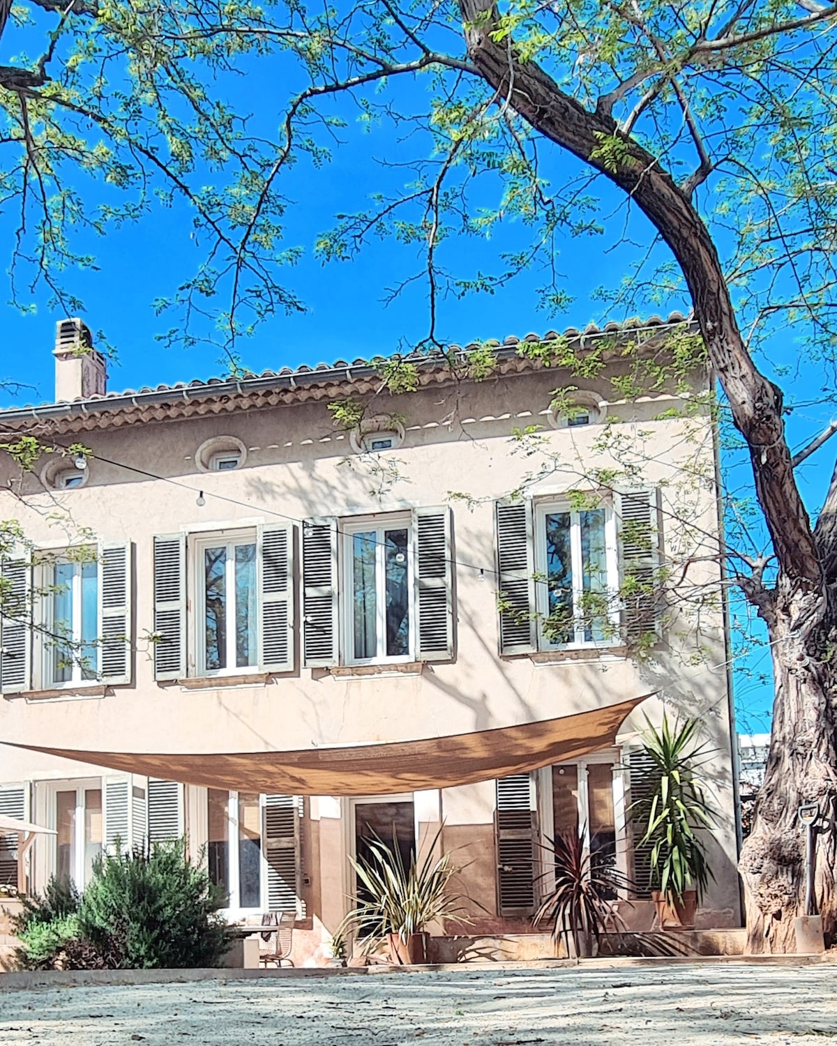The villa's facade features a combination of classic and modern architectural elements, with multiple tall windows fitted with traditional shutters. A shaded outdoor area is adorned with various plants, set against a backdrop of a clear blue sky and a large tree providing natural beauty.